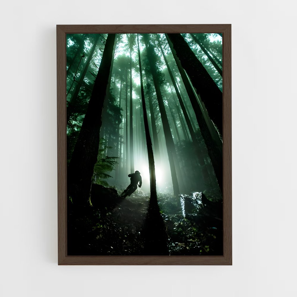 Poster Brandon semenuk sources – affiche Cyclisme (vue 5)